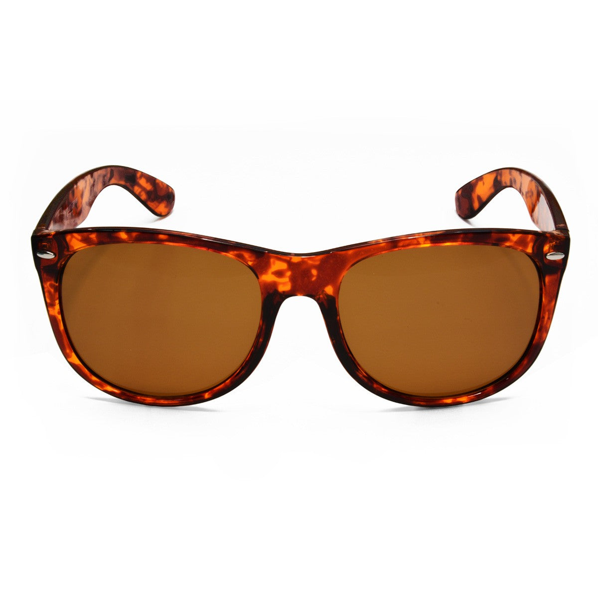SeaSpecs Cruzer, Brun
