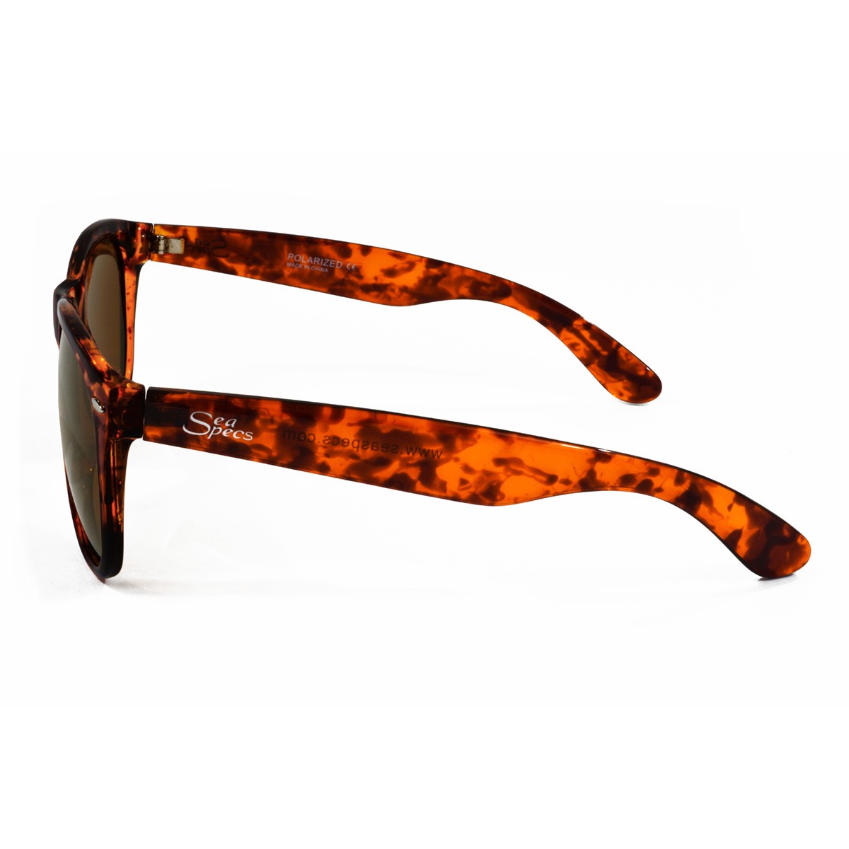 SeaSpecs Cruzer, Brun